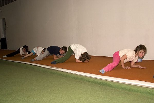 Klub skokova u vodu Zadar