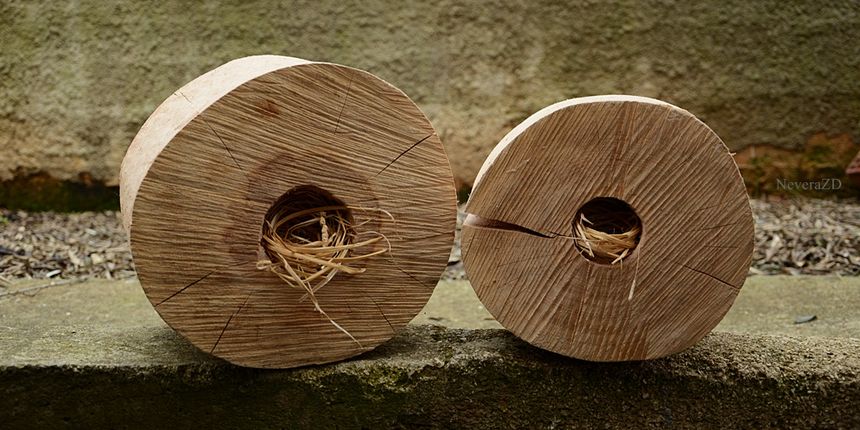 U nedjelju u crkvi sv. Dominika izložba “Gnjizdo” Marianne Bulj U nedjelju u crkvi sv. Dominika izložba “Gnjizdo” Marianne Bulj