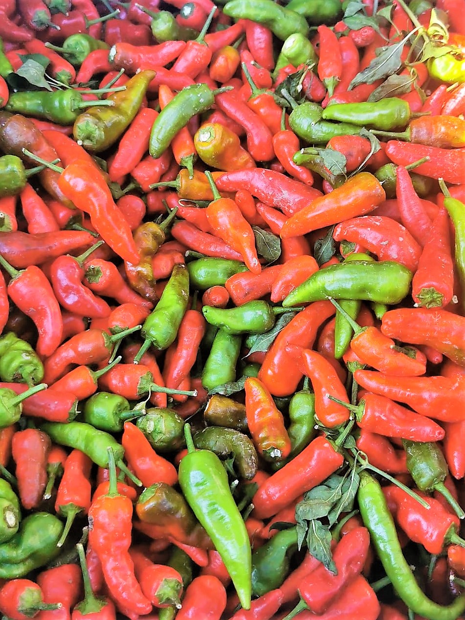 Posjetili smo manifestaciju Jesen u Lici Posjetili smo manifestaciju Jesen u Lici