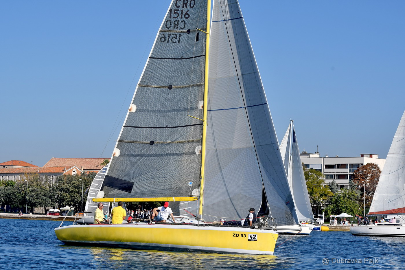 Sva lica “Zadarske koke” Sva lica “Zadarske koke”