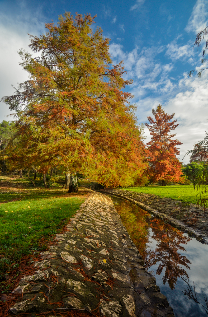Jesenski đir po gradu, 15. studenog 2014. , foto: Marin Pitton Jesenski đir po gradu, 15. studenog 2014. , foto: Marin Pitton