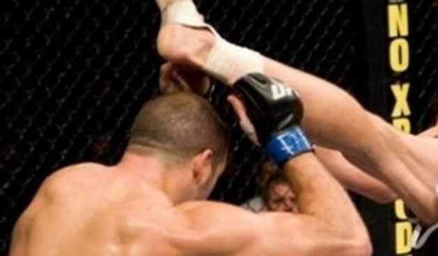 Ultimate fight – ilustracija (Foto: Daylife)