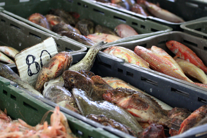 Image 1200387 (auto)