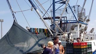 Kolinda Grabar-Kitarović s Gotovinom se družila na njegovoj farmi tuna