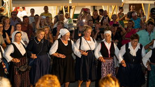 Naši stari običaji 2024. @ Privlaka