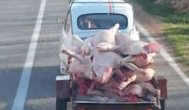 Kolinje, hrvatske prometnice