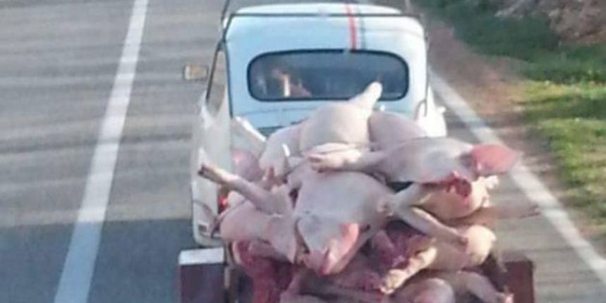 Kolinje, hrvatske prometnice Kolinje, hrvatske prometnice