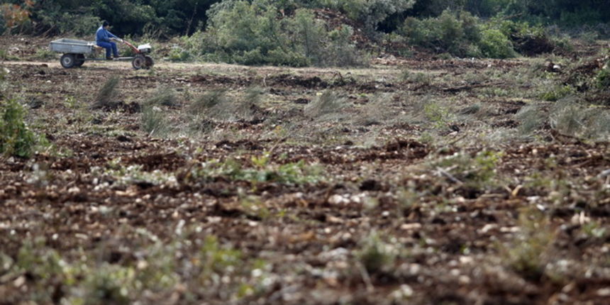 Zadar, 110310.
Zemljiste Hrvatskih suma na ulazu u mjesto Petrcane kraj Zadra cisti se i priprema za sadnju vinograda. 
Foto: Jure Miskovic / CROPIX