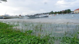 Plima u uvali Bregdetti, foto: T. Ivanov