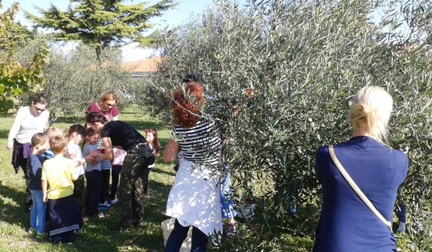 Dom za starije osobe Zemunik