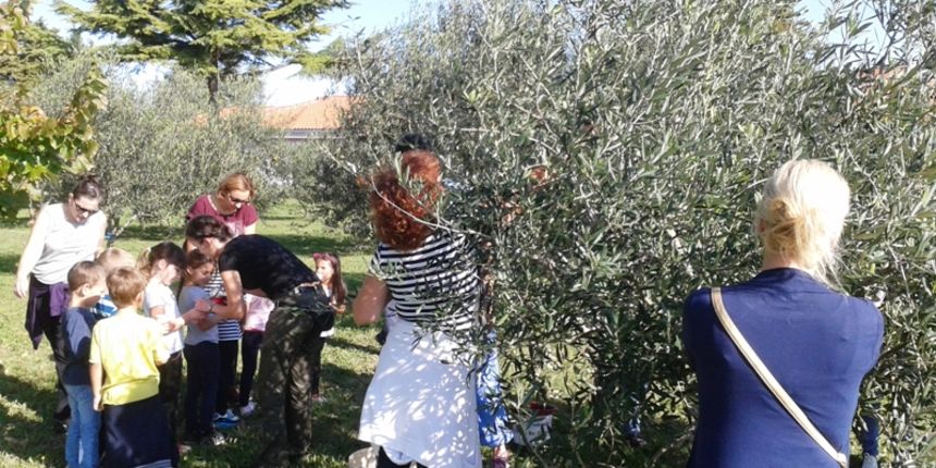 Dom za starije osobe Zemunik Dom za starije osobe Zemunik