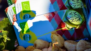 Festival smokava na Pozdravu suncu Festival smokava na Pozdravu suncu