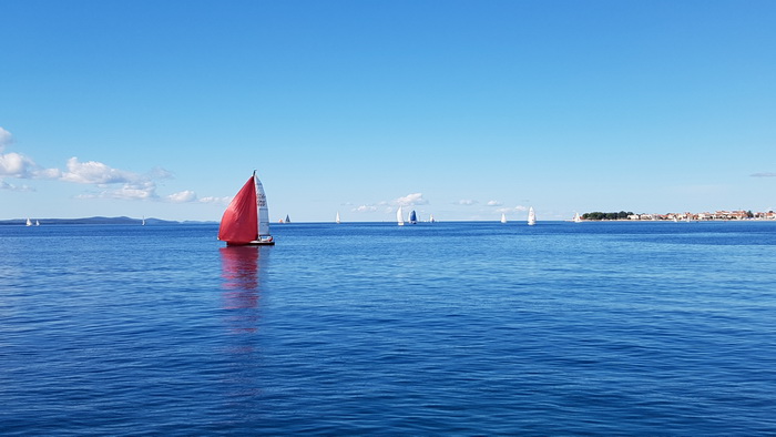 Zadarska Koka 2016. 22. listopada 2016. Foto: Mladen Malik Zadarska Koka 2016. 22. listopada 2016. Foto: Mladen Malik