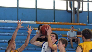 Image 1152729 (auto)