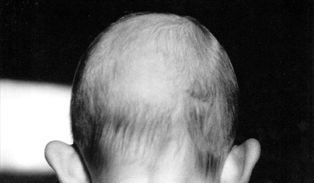 Braća Brkan: Slike sna i svjetlosti