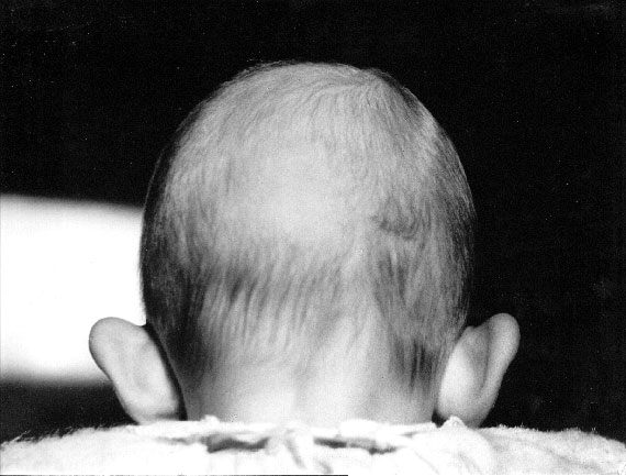 Braća Brkan: Slike sna i svjetlosti Braća Brkan: Slike sna i svjetlosti