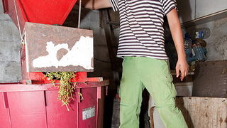 Priča o vinu: Od trsa do bačve, Foto: Leo Banić