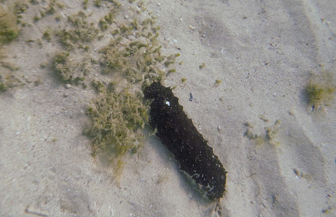 OLYMPUS DIGITAL CAMERA OLYMPUS DIGITAL CAMERA