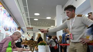 Međunarodna izložba mačaka