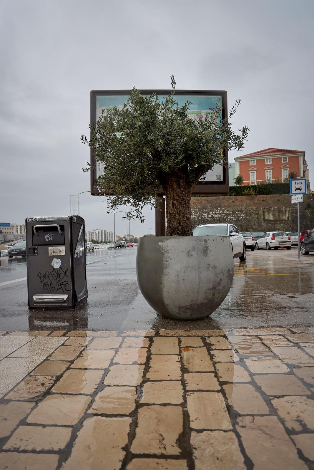 Maslina u velikoj i teškoj tegli preko noći “prošetala” do gradskog mosta Maslina u velikoj i teškoj tegli preko noći “prošetala” do gradskog mosta
