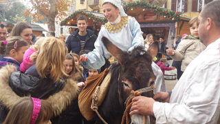 Advent u Zadru u nedjelju 13. prosinca 2015. na blagdan sv. Luce Advent u Zadru u nedjelju 13. prosinca 2015. na blagdan sv. Luce
