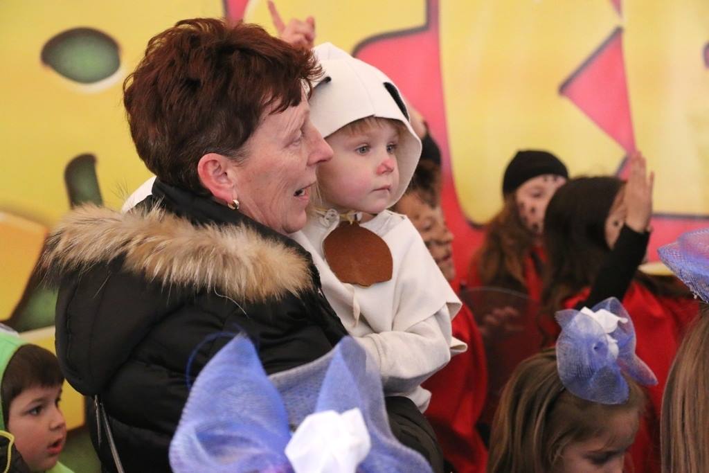 Virski Karnevalić 2017.