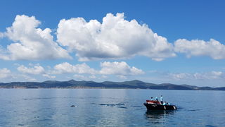 KPA Zadar: Vježba “Podvodni radovi i komunikacije te podvodna orijentacija” kod Morskih orgulja. Foto: Mladen Malik KPA Zadar: Vježba “Podvodni radovi i komunikacije te podvodna orijentacija” kod Morskih orgulja. Foto: Mladen Malik