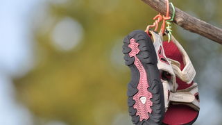 Zadar, 021111
Uz cestu koja vodi od Zadra prema Razancu moze se vidjeti jedan od sigurno najneobicnijih vinograda na svijetu. Umjesto uobicajenih strasila, vinograd cuvaju ogromni plisani medvjedi , lutke, barbike i raznorazne druge igracke i predmeti.
Fo Zadar, 021111
Uz cestu koja vodi od Zadra prema Razancu moze se vidjeti jedan od sigurno najneobicnijih vinograda na svijetu. Umjesto uobicajenih strasila, vinograd cuvaju ogromni plisani medvjedi , lutke, barbike i raznorazne druge igracke i predmeti.
Fo