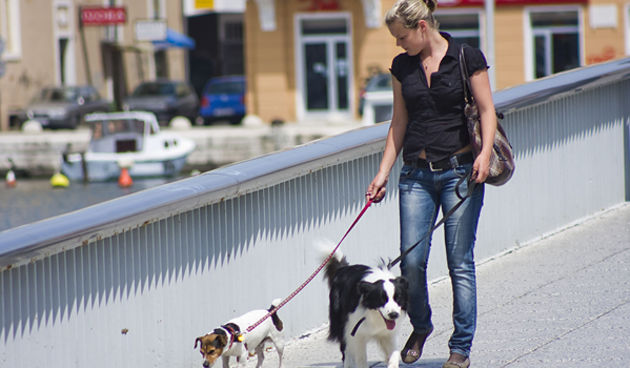 Đir po gradu 1. svibnja 2010. Psi, psići (Foto:Saša Čuka)