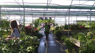 Danas, kako je tvrtka Nasadi d.o.o. i najavila, u rasadniku Cerodol na Žmirićima od 09:00 do 11:00 sati građanima su se dijelile sadnice sezonskog cvijeća. Danas, kako je tvrtka Nasadi d.o.o. i najavila, u rasadniku Cerodol na Žmirićima od 09:00 do 11:00 sati građanima su se dijelile sadnice sezonskog cvijeća.