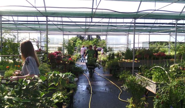 Danas, kako je tvrtka Nasadi d.o.o. i najavila, u rasadniku Cerodol na Žmirićima od 09:00 do 11:00 sati građanima su se dijelile sadnice sezonskog cvijeća.