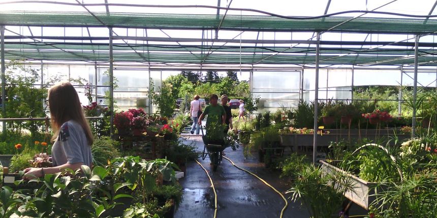 Danas, kako je tvrtka Nasadi d.o.o. i najavila, u rasadniku Cerodol na Žmirićima od 09:00 do 11:00 sati građanima su se dijelile sadnice sezonskog cvijeća. Danas, kako je tvrtka Nasadi d.o.o. i najavila, u rasadniku Cerodol na Žmirićima od 09:00 do 11:00 sati građanima su se dijelile sadnice sezonskog cvijeća.