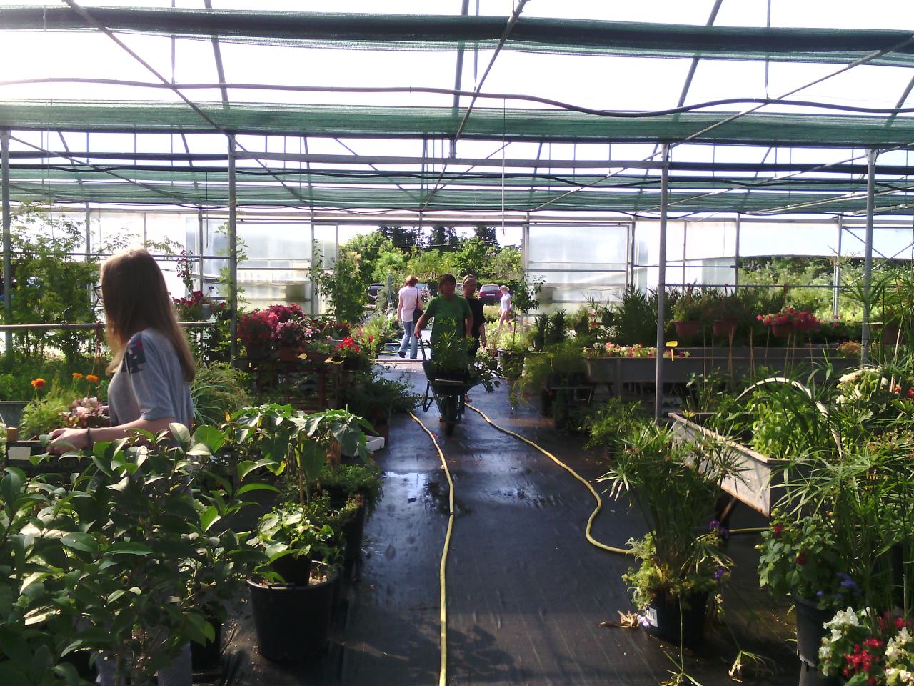 Danas, kako je tvrtka Nasadi d.o.o. i najavila, u rasadniku Cerodol na Žmirićima od 09:00 do 11:00 sati građanima su se dijelile sadnice sezonskog cvijeća. Danas, kako je tvrtka Nasadi d.o.o. i najavila, u rasadniku Cerodol na Žmirićima od 09:00 do 11:00 sati građanima su se dijelile sadnice sezonskog cvijeća.