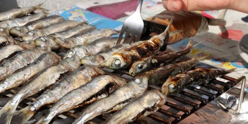 Sibenik – Izmedju dvije marcene bure ribari su uspjeli izici na more i na ribarnici ponuditi svjeze srdele.U Dalmaciji najzastupljenija i najveca hraniteljica,srdela se moze pripremati na mnogo nacina ali pecena na gradelama je najcesci nacin. Photo: Dusk Sibenik – Izmedju dvije marcene bure ribari su uspjeli izici na more i na ribarnici ponuditi svjeze srdele.U Dalmaciji najzastupljenija i najveca hraniteljica,srdela se moze pripremati na mnogo nacina ali pecena na gradelama je najcesci nacin. Photo: Dusk