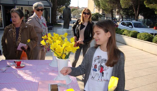 Dan narcisa u Biogradu na Moru
