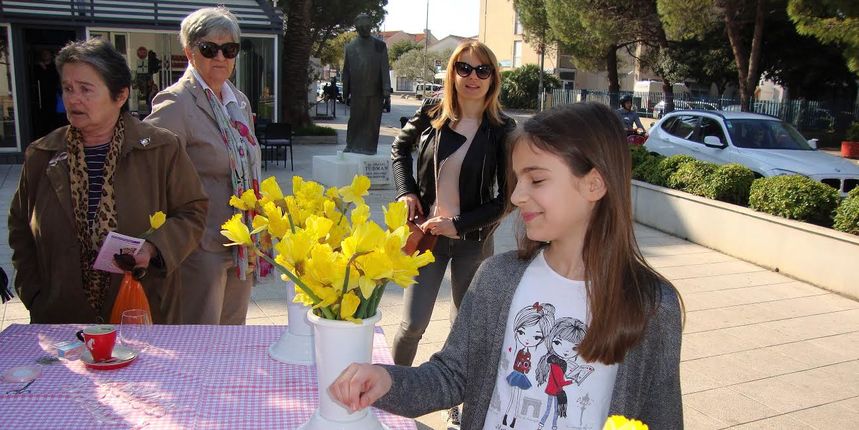 Dan narcisa u Biogradu na Moru Dan narcisa u Biogradu na Moru