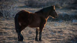 Od Velikog Rujna, preko Rujanske kose do Višerujna…