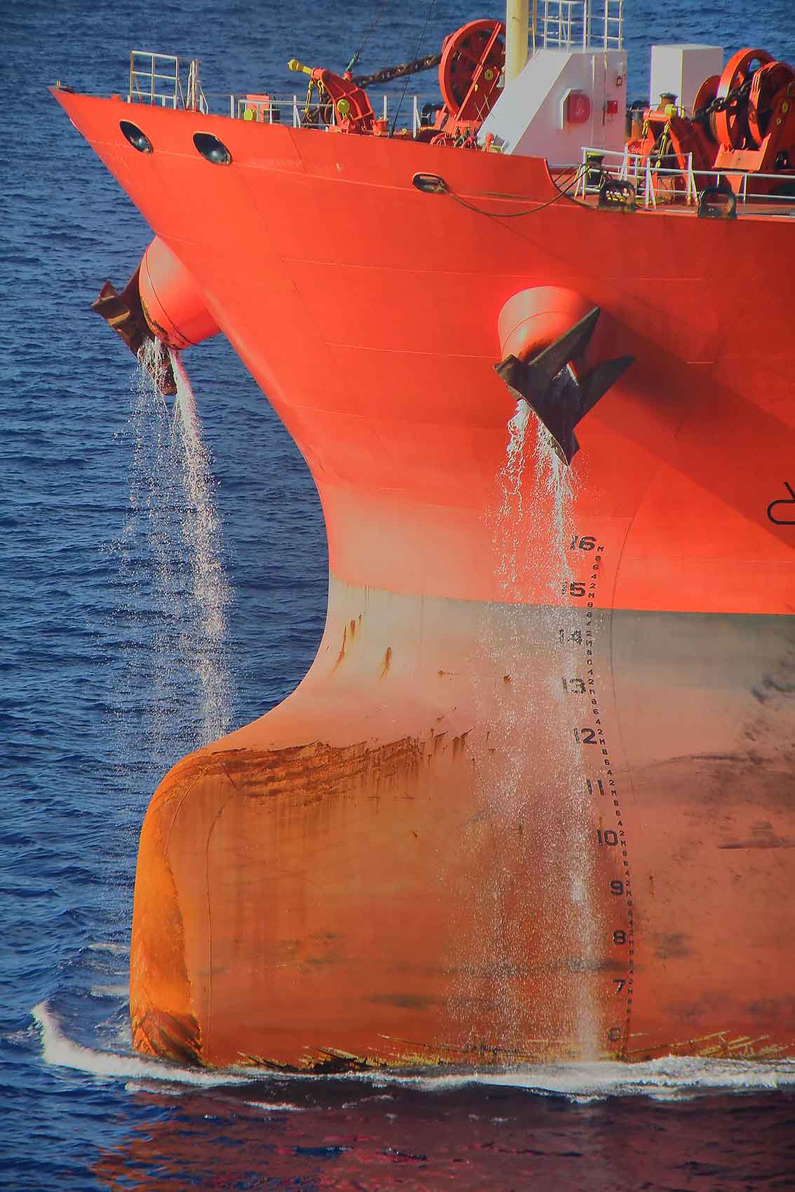 OLYMPUS DIGITAL CAMERA OLYMPUS DIGITAL CAMERA