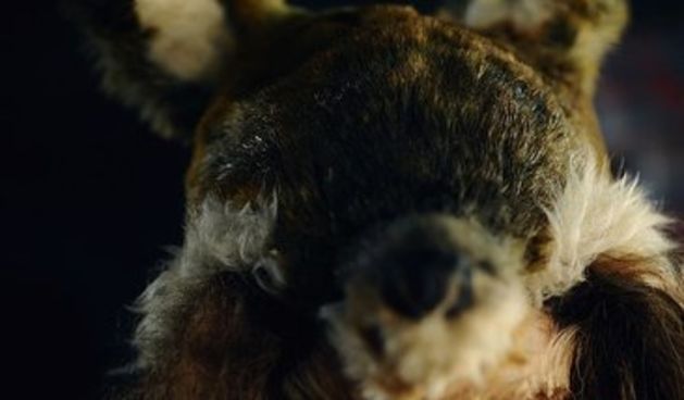 London Fashion Week: Top Shop Unique jesen 2010 (Coutorture.com)