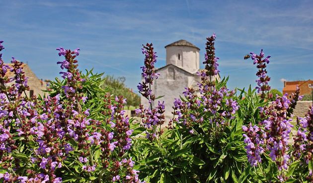 Crkva sv. Križa, Nin, Nin ilustracija