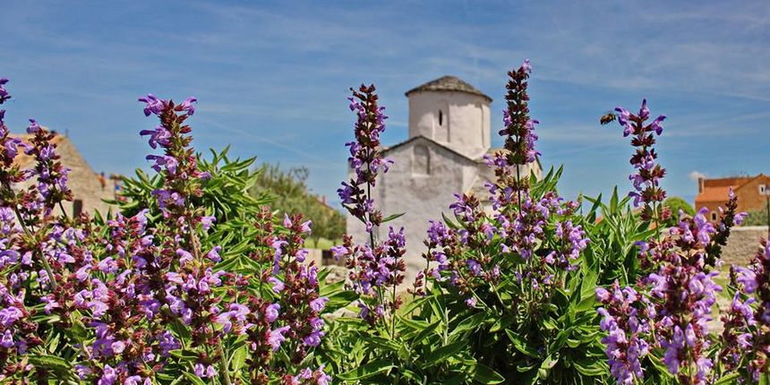 Crkva sv. Križa, Nin, Nin ilustracija