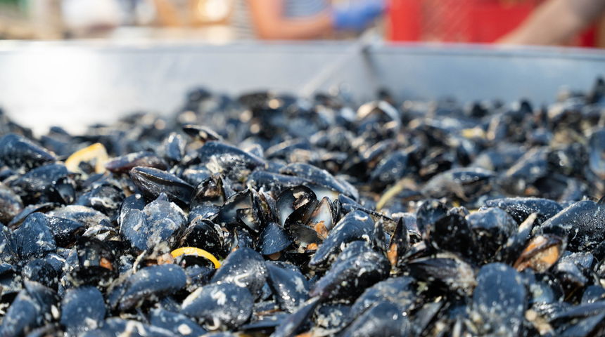 Noć privlačkih ribara i sabunjara 2024 @ luka Stari porat