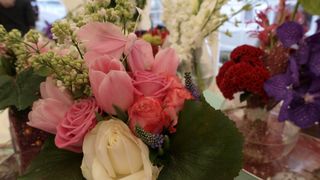 Sv. Filip i Jakov – 10. Dani cvijeća, 24. i 25. travnja 2010. (Foto: Vedran Penga)