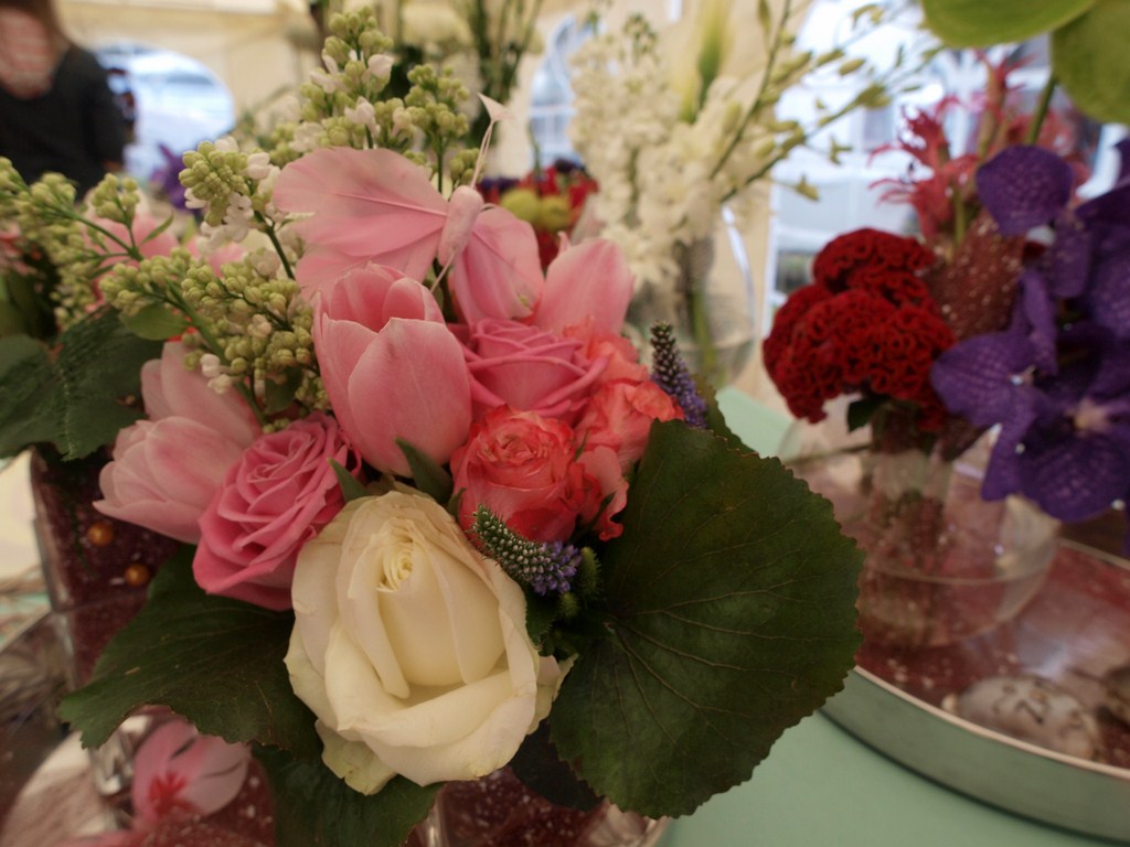 Sv. Filip i Jakov – 10. Dani cvijeća, 24. i 25. travnja 2010. (Foto: Vedran Penga)