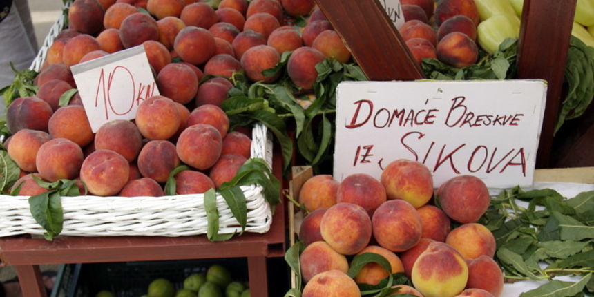 OLYMPUS DIGITAL CAMERA OLYMPUS DIGITAL CAMERA