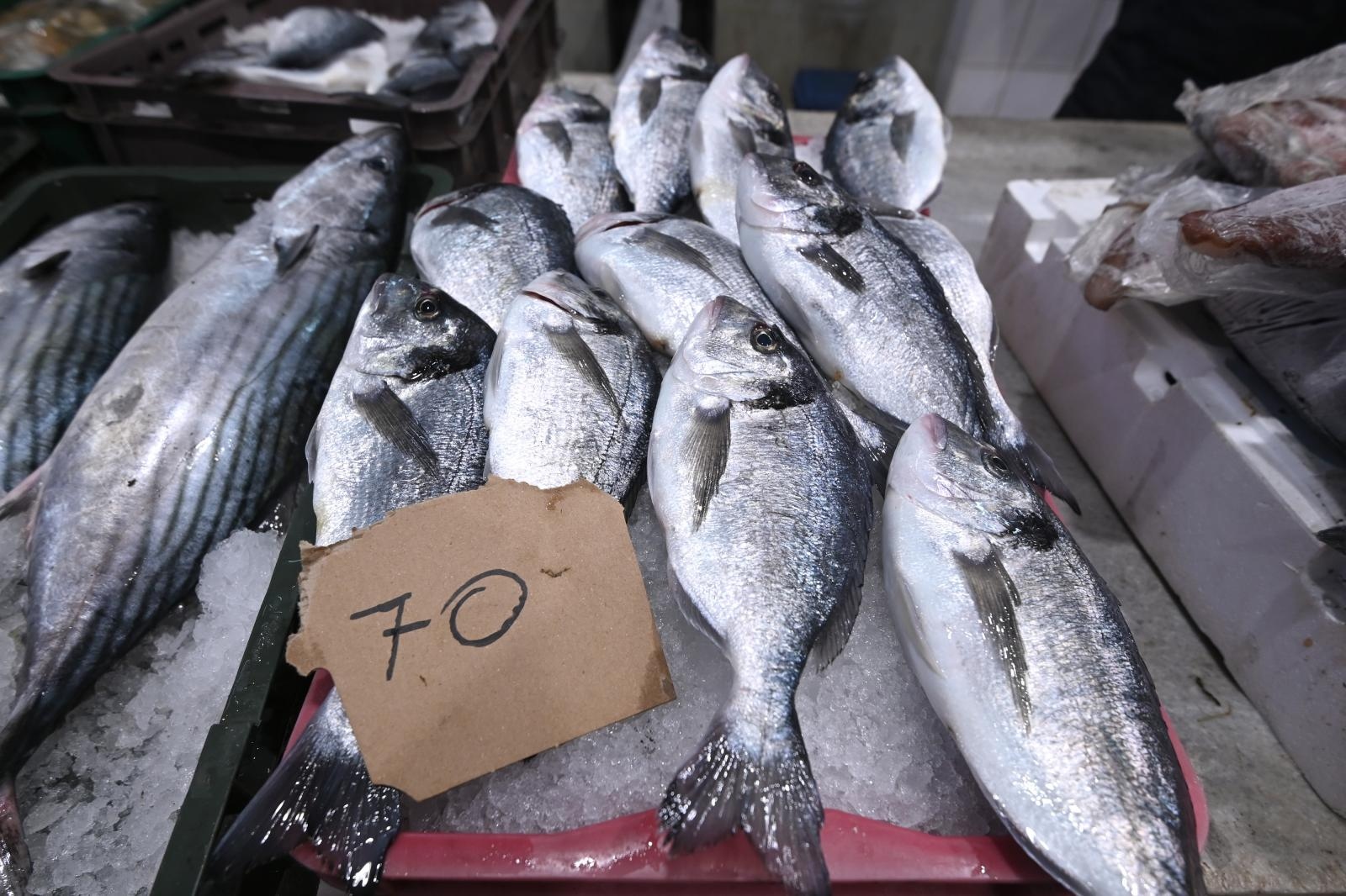 Bogata ponuda ribe na gradskoj ribarnici Bogata ponuda ribe na gradskoj ribarnici