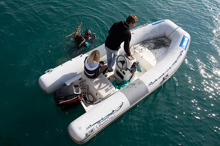 Ronilacki klub Sv. Roko – čišćenje, uvala Jazine, foto: Leo Banić