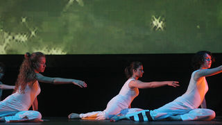 “Colour” Zadarskog plesnog ansambla (Foto:Saša Čuka)