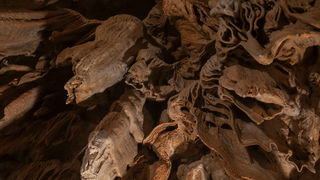 Izlet u Cerovačke špilje, foto: Darko Belančić