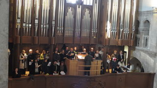 Nove orgulje u katedrali Svete Stosije u Zadru, Foto: Darko Dilber